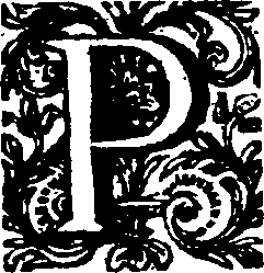 040/040120020000260_0.png