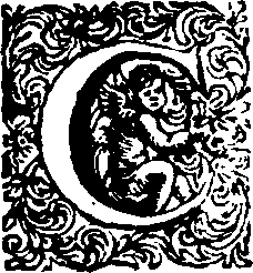 040/040120020001100_0.png