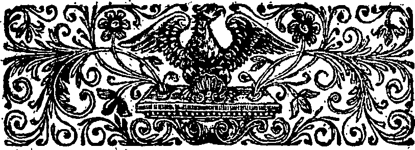 040/040250070100040_1.png