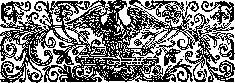 040/040250070100320_0.png