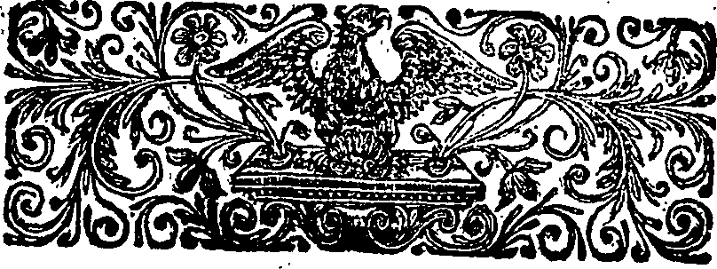 040/040250070100560_1.png