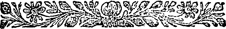 040/040250070102420_0.png