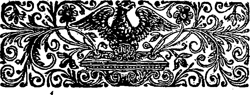 040/040250070103310_1.png