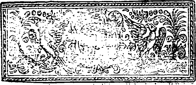 040/040250070200400_1.png
