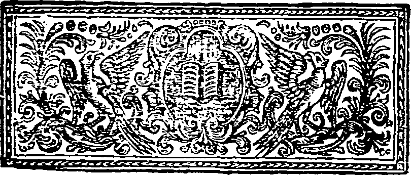 040/040250070200980_1.png