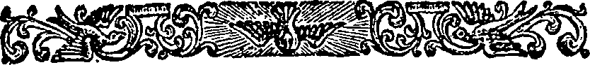 040/040250070202500_0.png