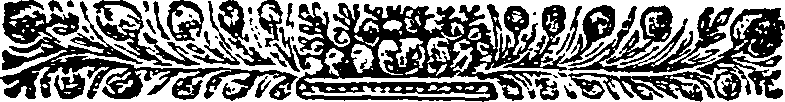 040/040250070303710_0.png