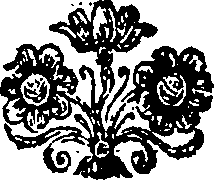 040/040250100006800_0.png