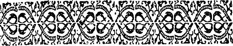 040/040300020000020_2.png