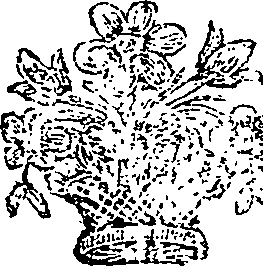 040/040410090000610_0.png