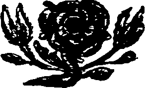 040/040410120000030_0.png