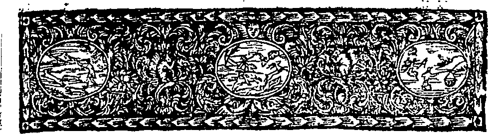 040/040450020000020_1.png