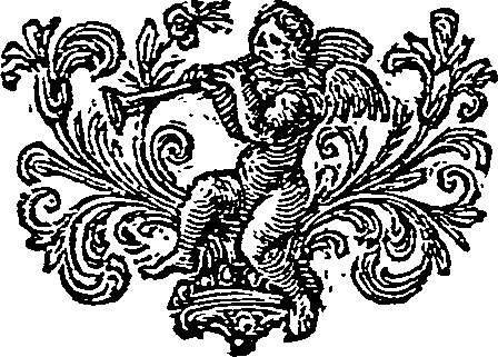 040/040460310000960_0.png