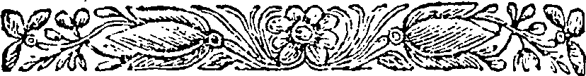 040/040520020001550_0.png