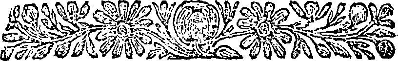 040/040520020001820_0.png
