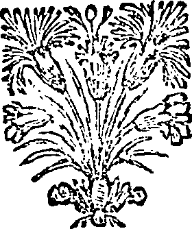 040/040520020001840_0.png