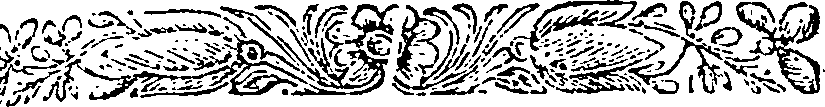 040/040520020002480_0.png