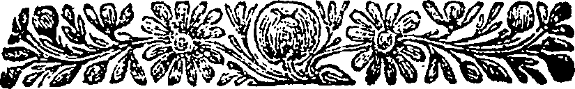 040/040520020002810_0.png