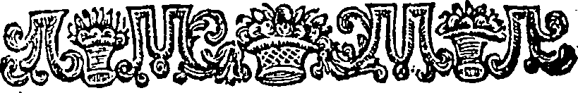 040/040520020002850_0.png