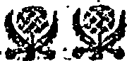 040/040520030000320_0.png