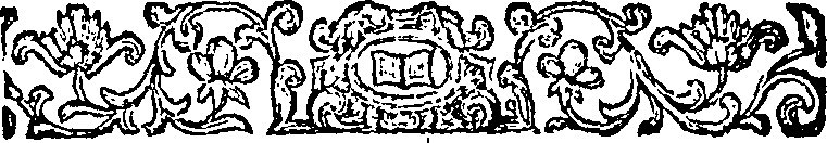 040/040520060102050_1.png