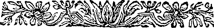 040/040520060300290_0.png