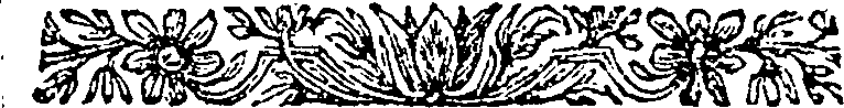 040/040520060300520_0.png