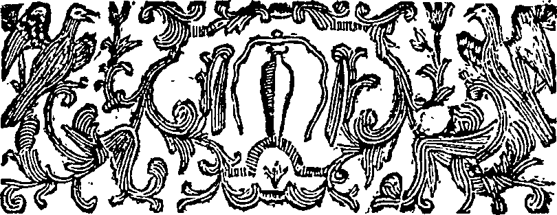 040/040530140000040_2.png