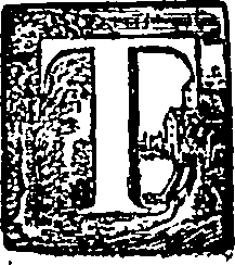040/040530300000080_0.png