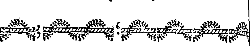 040/040540010000020_1.png