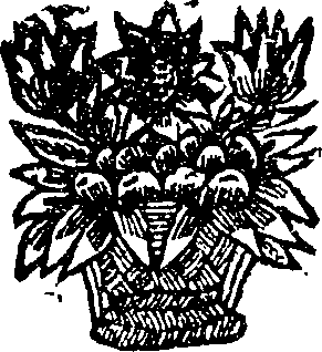 040/040540070000010_0.png