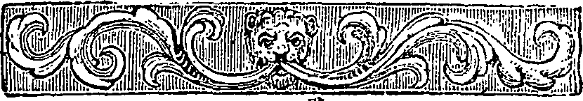 040/040560070000250_1.png