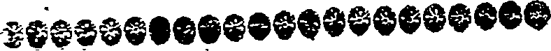 040/040580050000800_0.png