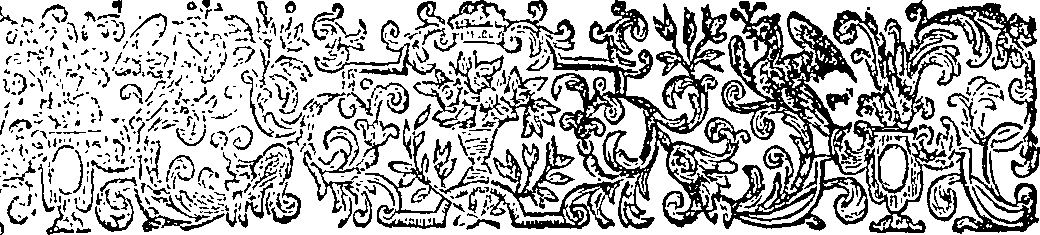 040/040770120000010_0.png