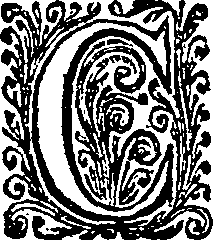 040/040780070000020_0.png
