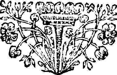 040/040780070001560_0.png
