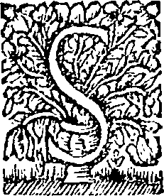 040/040910060000250_0.png