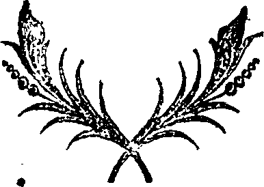 041/041010050000260_0.png