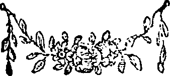 041/041010050000860_0.png