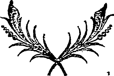 041/041010050000910_0.png
