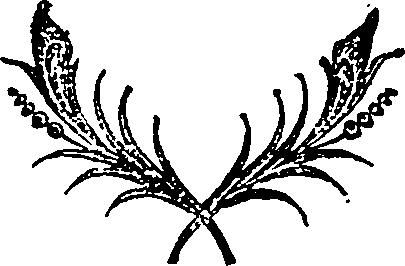 041/041010050001380_0.png