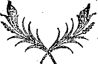 041/041010050002120_0.png