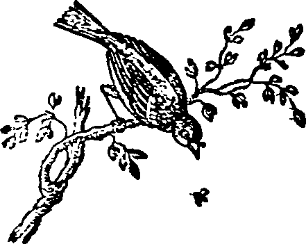 041/041010050002310_0.png