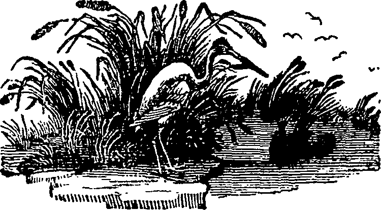 041/041010050002520_0.png