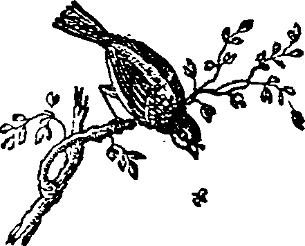 041/041010050002610_0.png