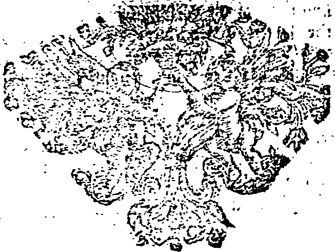 041/041010200000150_0.png