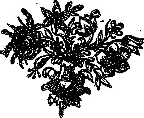 041/041090100001850_0.png
