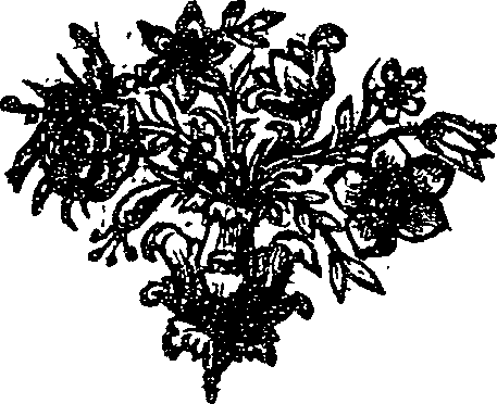 041/041090100002190_0.png
