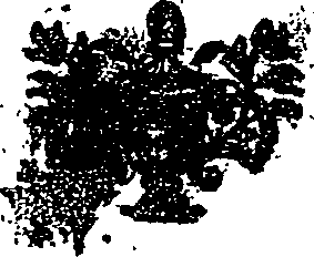 041/041110070000010_1.png