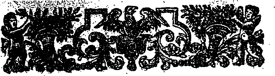 041/041120070000020_0.png